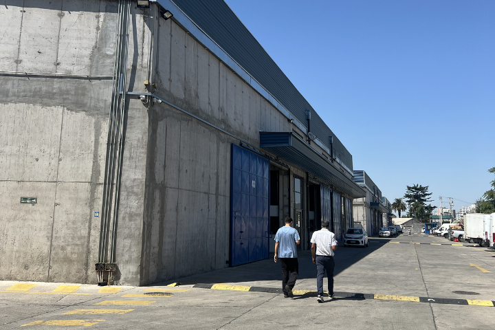 Bodega 7