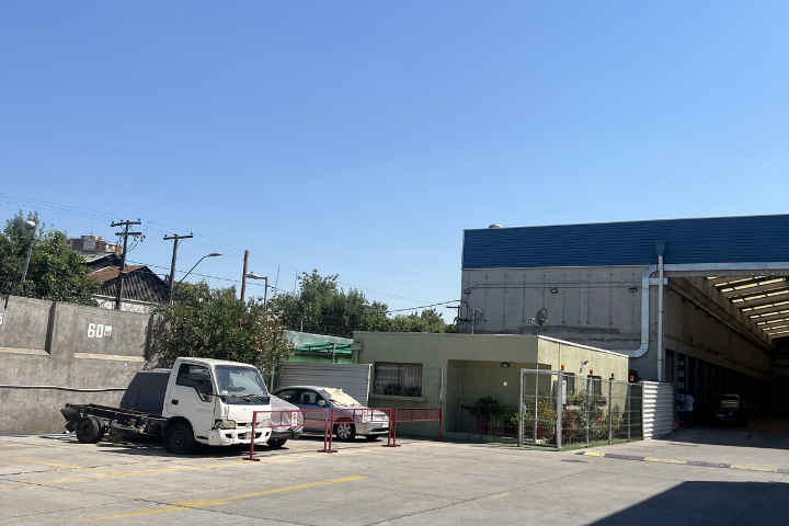 Bodega 15